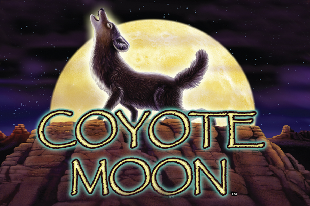 Coyote Moon