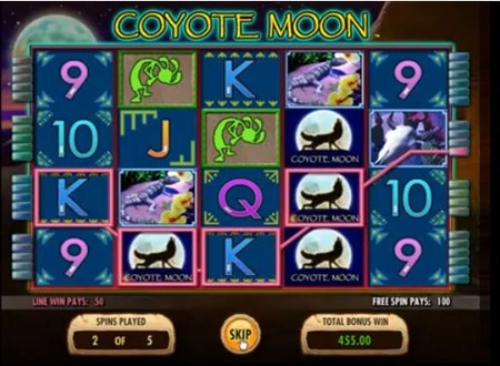 Coyote Moon