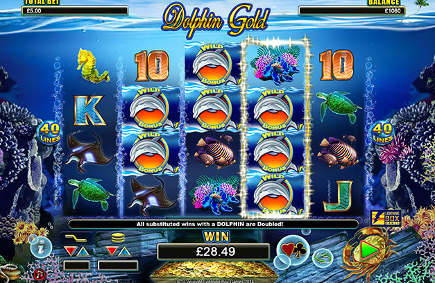 DOLPHIN GOLD at oreels
