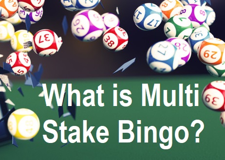 what is multi stake bingo