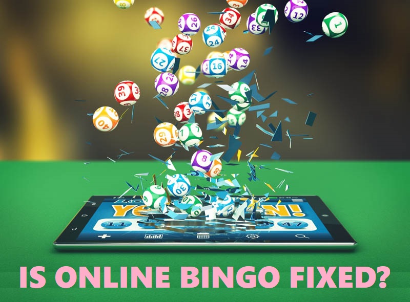 Online Bingo – Is it Fixed? - Fairness and Safety of Bingo Sites